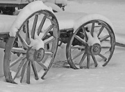 3rd Feb 2012 - wagon wheels