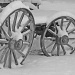 wagon wheels by dmdfday