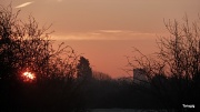 4th Feb 2012 - Morning Mist