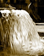 2nd Feb 2012 - Fountain again!