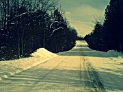 30th Jan 2012 - road home