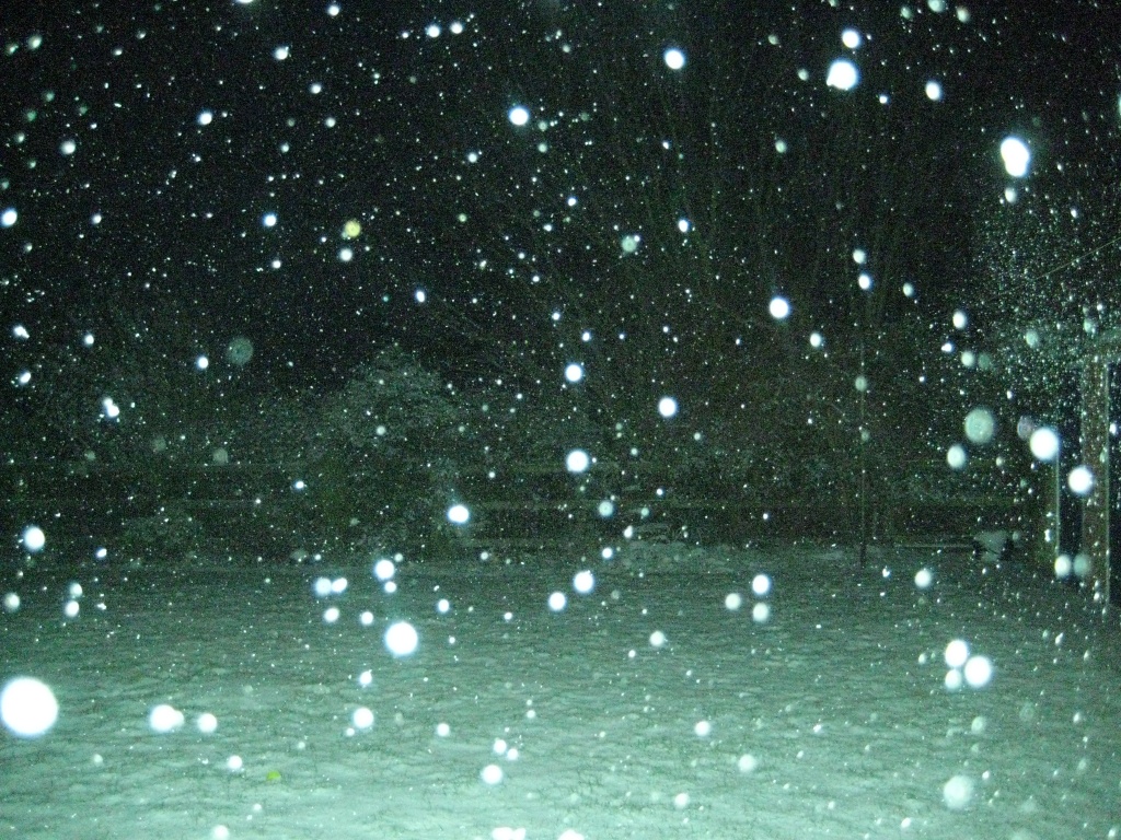 Uh Oh It's Snow!  4.2.12 by filsie65