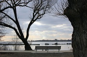 4th Feb 2012 - A walk by the lake