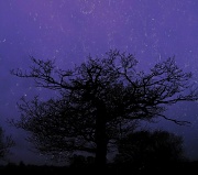 5th Feb 2012 - Night of a thousand shooting stars