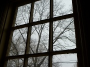 4th Feb 2012 - Through the Window