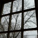 Through the Window by tatra