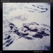 4th Feb 2012 - Snow