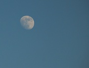 4th Feb 2012 - 84% Full Moon