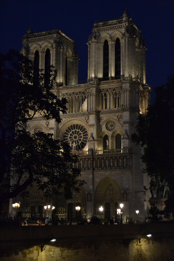 A Night at Notre Dame  by labpotter