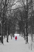 5th Feb 2012 - Little Red Riding Hood