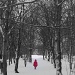 Little Red Riding Hood by calx