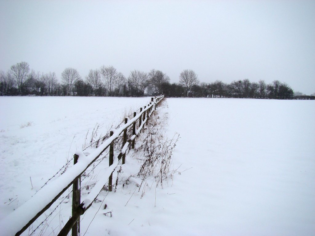 Snowy Fence by bulldog