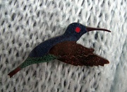 28th Jan 2012 - Hummingbird.