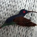 Hummingbird. by pyrrhula