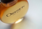 6th Feb 2012 - Obsession