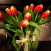 0202 tulips from Chris by cassaundra