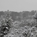 Snow In High Wycombe  by netkonnexion