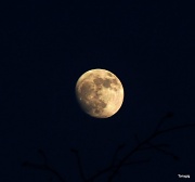 6th Feb 2012 - Moon