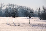 6th Feb 2012 - winter
