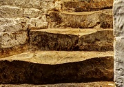 6th Feb 2012 - the cellar steps