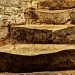 the cellar steps by jantan