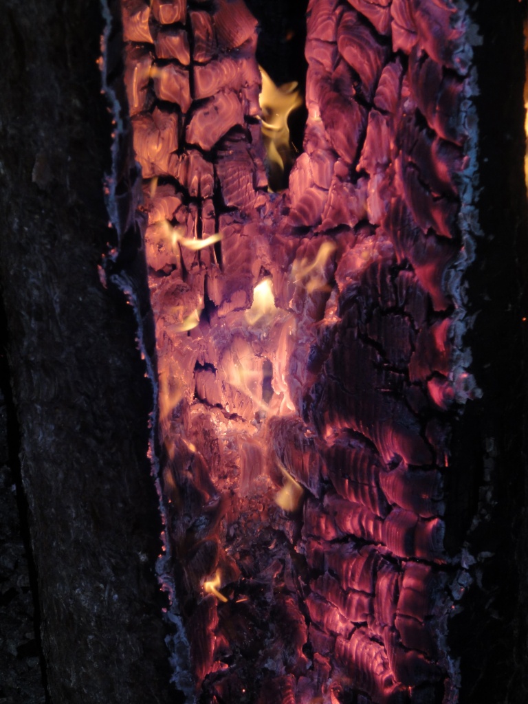 wood on fire... by cocobella