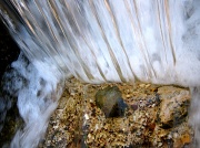 6th Feb 2012 - bottom of lil waterfall