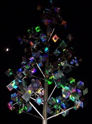 6th Feb 2012 - Holographic tree