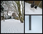 5th Feb 2012 - Snow joke!