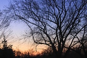 6th Feb 2012 - Sunrise