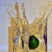 A Splash of Lime by jayberg
