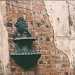 Lion Fountain by grammyn