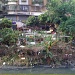 Sewage River Farm by taiwandaily