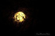 7th Feb 2012 - Full Moon Embraced
