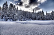 7th Feb 2012 - Frosty Landscape