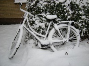 8th Feb 2012 - Winter