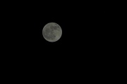 7th Feb 2012 - My First Moon