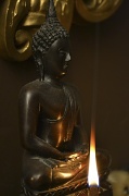 7th Feb 2012 - Buddha 