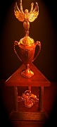 8th Feb 2012 - Trophy WFI