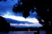 31st Jan 2012 - Cloudy Evening