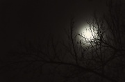 7th Feb 2012 - Full Moon?