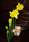 8th Feb 2012 - Flowers