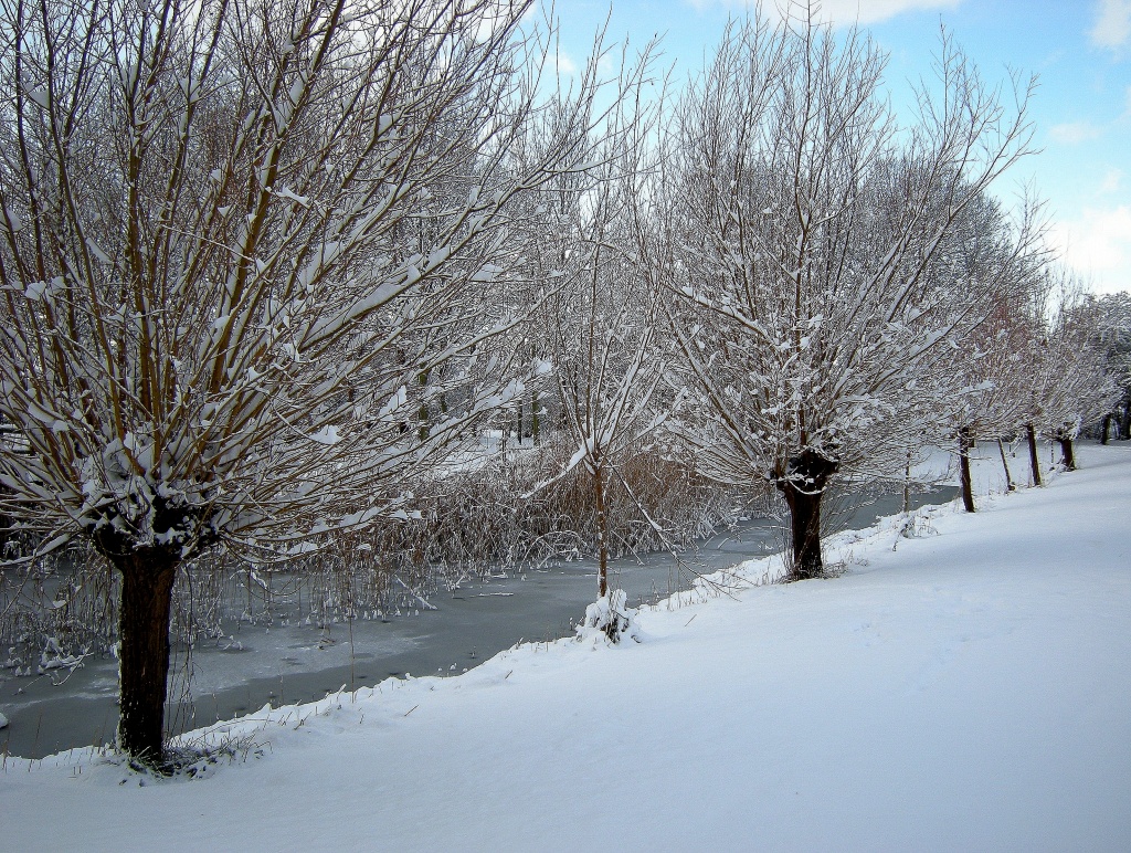 Winter (2) by pyrrhula