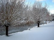 9th Feb 2012 - Winter (2)