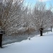 Winter (2) by pyrrhula