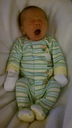 8th Feb 2012 - This little guy is a sleeper!