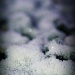Snow's Soft Glow by digitalrn