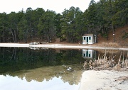 8th Feb 2012 - Pond Reflections