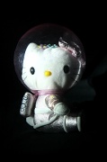 6th Feb 2012 - Hello space kitty 