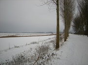 10th Feb 2012 - Winter 3